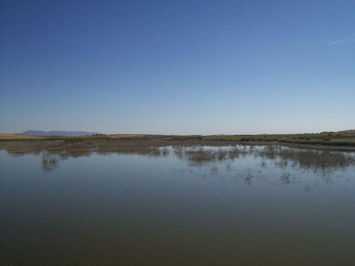 El Labriego, Casa Rural Fuente el Fresno Exteriör bild